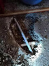 同城京東水電工上門(mén)服務(wù)水管漏水維修暗管檢測水龍頭下水管道改造安裝衛生間廚房維修服務(wù) 水管維修 1次 曬單實(shí)拍圖