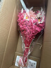 永生玫瑰滿(mǎn)天星干花花束高級感網(wǎng)紅裝飾擺件真花風(fēng)干天然客廳擺設 粉玫瑰滿(mǎn)天星花束（不含瓶） 干花包 曬單實(shí)拍圖