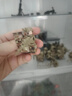 兼容樂(lè )高特種兵軍事積木玩具人仔特警武裝哨塔場(chǎng)景兒童拼裝 幽靈特警+全套裝備+哨塔+武器 曬單實(shí)拍圖