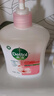 滴露（Dettol）健康抑菌洗手液滋潤倍護500g 消毒抑菌99.99% 兒童適用不含酒精 曬單實拍圖