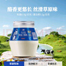 蘭格格烏日莫奶皮子酸奶560g*2桶 生鮮低溫酸奶 產(chǎn)地烏蘭察布源頭直發(fā) 曬單實(shí)拍圖