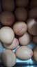 康咯咯康大可生食雞蛋無(wú)抗鮮雞蛋營(yíng)養雞蛋無(wú)沙門(mén)氏菌高品質(zhì)蛋單枚50g+ 【居家必備可生食】30枚  1.5kg+ 曬單實(shí)拍圖