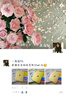 Apple/蘋(píng)果 iPad11英寸 A16芯片2025年款 平板電腦 (128GB WLAN版/學(xué)習辦公娛樂(lè ))黃色 曬單實(shí)拍圖