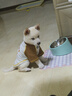 MIKI PAD寵物狗狗衣服冬季保暖柯基T恤小型犬幼犬貓咪衣服泰迪比熊雪納瑞 灰色棒球燙畫(huà)【棉質(zhì)護肚】 S胸圍37cm（建議4-6斤） 曬單實(shí)拍圖