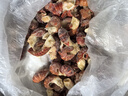 鮮京采 無(wú)冰小龍蝦尾（一級） 凈蝦重2斤 大號 無(wú)添加 京東自有品牌 曬單實(shí)拍圖