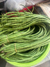 【超市品質(zhì)】新鮮農家長(cháng)豆角豇豆角腌制泡菜早餐生鮮蔬菜豆角子 產(chǎn)地直發(fā)現摘 5斤 曬單實(shí)拍圖