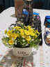 仿真花客廳裝飾擺件向日葵插花小盆栽假花塑料花束餐桌花藝裝飾品 小雛菊黃色花束+Life瓶 曬單實(shí)拍圖