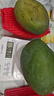 攀枝花凱特芒果現摘時(shí)令水果 凱特芒3斤200g+ 曬單實(shí)拍圖