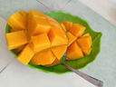 憶京源四川攀枝花凱特芒 新鮮水果當季大臉芒特大青皮芒果彩虹芒整箱 5斤果王精選裝 【現摘當天發(fā)貨】 曬單實(shí)拍圖