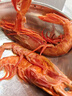 朵芙特大 紅魔蝦 深海捕撈刺身級胭脂魔鬼紅蝦鮮活冷凍生鮮大蝦送禮 【大號】7-9條/盒 400g(凈重) 曬單實(shí)拍圖