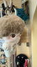 POP MART泡泡瑪特 DIMOO心動特調(diào)系列-軟臉毛絨鑰匙扣盲盒衍生品 整盒6個 不支持七天無理由退換 曬單實拍圖