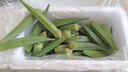新鮮水果秋葵黃秋葵現(xiàn)摘現(xiàn)發(fā)生鮮蔬菜涼拌燒烤火鍋食材減肥瘦身 現(xiàn)摘鮮嫩秋葵（家庭實(shí)惠裝） 2斤 曬單實(shí)拍圖