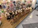 POP MART泡泡瑪特 θSKULLPANDA光織園系列毛絨公仔掛件盲盒周邊 整盒9個(gè)（限購1盒） 不支持7天無(wú)理由退換貨 曬單實(shí)拍圖