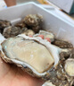 鮮海道【活鮮】鮮海道生蠔  乳山牡蠣 新鮮海蠣子生鮮貝類(lèi) 特大號4XL凈重4斤（8-11只）） 曬單實(shí)拍圖
