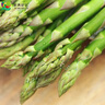 京鮮生&家美舒達 山東 青蘆筍 1斤 新鮮蔬菜 曬單實(shí)拍圖
