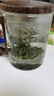 憶壺茶（YIHUTEA）泡茶杯茶水分離杯水杯男士茶杯個(gè)人專用泡茶杯玻璃綠茶杯子 【特價(jià)沖量】400ML木語杯 曬單實(shí)拍圖