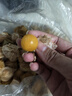 傾睦東北姑娘果黃菇娘洋姑娘果超甜東北特產(chǎn)燈籠果小金豆新鮮現摘水果 1斤精品【 單果7-9g】 曬單實(shí)拍圖
