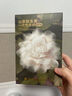 babycare山茶花夏季輕薄款一次性內(nèi)褲孕婦產(chǎn)后出差旅行女士免洗 L碼 4條 曬單實(shí)拍圖