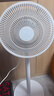 長(cháng)虹（CHANGHONG） 電風(fēng)扇落地扇家用立式電扇臺扇搖頭扇小型辦公室宿舍家用風(fēng)扇遙控空氣循環(huán)風(fēng)扇 小號機械款5葉（標準型） 曬單實(shí)拍圖