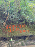 Keep 翹臀圈彈力帶環(huán)高階虐臀練臀120磅不卷邊防滑彈性升級(jí) 蜜桃粉M 曬單實(shí)拍圖