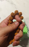 侗秘高品質(zhì)一代老樹(shù)王金剛菩提手串男士文玩印尼原籽矮樁爆肉精品手持 【一代老樹(shù)王】金剛菩提手串 11mm 曬單實(shí)拍圖