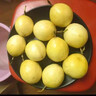 閩農(nóng)語果青州蜜桃高山現(xiàn)摘當季桃子整箱送禮山東蜜桃新鮮桃子5斤【普裝 | 20-26個左右】凈重4.5斤【老樹果，更香甜】 曬單實拍圖