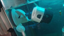 MDUG造浪泵吹糞便魚(yú)缸造浪魚(yú)池靜音水流變頻造流泵吹魚(yú)便水族箱沖浪泵 3W單頭底座款 曬單實(shí)拍圖