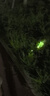 神火（SupFire）強(qiáng)光手電筒變焦超亮長續(xù)航穿天家用小型便攜式軍戶外家專用應(yīng)急燈 曬單實(shí)拍圖