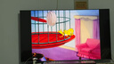 東芝電視65Z500QF 65英寸 Mini LED控光 144Hz 3+128GB 火箭炮音響 4K超清 以舊換新家電國家補貼 曬單實(shí)拍圖