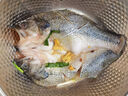 太湖?！緹o抗或有機認證 淡水鱸魚】孕婦嬰兒童食輔 鮮活三去魚類水產(chǎn) 【無抗大鱸魚】400g/條*3條 曬單實拍圖
