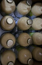 百普力 腸內(nèi)營養(yǎng)混懸液(SP)1.0kcal/ml*500ml *12瓶 原研藥 曬單實拍圖