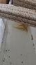黃金龍鳳錦鯉冷水鸚鵡小草金蘭花草觀(guān)賞魚(yú) 黃金錦鯉4-6厘米3條裝 曬單實(shí)拍圖
