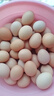 散養(yǎng)農(nóng)家土雞蛋草雞蛋40-50g 溏心蛋早餐新鮮雞蛋京東包郵買菜 40枚土雞蛋 曬單實(shí)拍圖