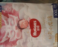 好奇皇家御褲小龍褲紙尿褲新生兒尿不濕嬰兒超薄拉拉褲柔軟透氣龍紋褲 拉拉褲XXXL碼25片/包 曬單實(shí)拍圖