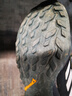 adidas AX3舒適戶外網(wǎng)面運(yùn)動(dòng)鞋男子阿迪達(dá)斯官方TERREX FX4575   黑/深灰/白/黃   41 曬單實(shí)拍圖