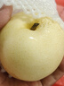京鮮生 長(cháng)城皇冠梨 凈重10斤 單果200g+  新鮮當季 生鮮水果 曬單實(shí)拍圖