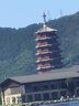 櫻花樹(shù)油煙機家用大吸力中式抽油煙機出租房廚房小戶(hù)型小尺寸老式吸油煙機 35m3【琴鍵四位+深腔錐網(wǎng)】 自行安裝 曬單實(shí)拍圖