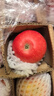 洛川蘋(píng)果陜西延安特產(chǎn)紅富士時(shí)令蘋(píng)果水果禮盒送蘋(píng)果生鮮新鮮脆甜整箱批發(fā) 24個(gè)75mm 優(yōu)選果 彩箱裝 曬單實(shí)拍圖