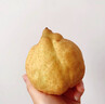 京配嘉果山東煙臺(tái)中華丑梨農(nóng)家自種新鮮梨子水果禮盒軟糯多汁新奇特梨子 1斤精選裝 曬單實(shí)拍圖