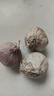 25年云南紫皮獨頭蒜干蒜頭 云南原產地糖蒜臘八蒜時令蔬菜半價 1斤(凈重0.9斤) 大獨蒜3.0-3.5cm 曬單實拍圖