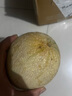 京鮮生 哈密瓜西州蜜25號 凈重6-7斤1-2粒裝 源頭直發(fā)包郵 曬單實(shí)拍圖
