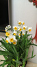 綠聯(lián)Type-C數據線(xiàn)6A適用華為超級快充100W/66W充電線(xiàn)Pura80/70/Mate70/60Pro+/X6榮耀小米安卓手機2米 曬單實(shí)拍圖