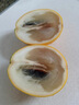 譯優(yōu)農(nóng)【順豐】海南冬蜜黃晶果新鮮現(xiàn)摘香甜雅美果黃金牛奶果稀有水果 凈重3斤中果(單果150-250g) 曬單實(shí)拍圖