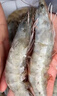 東上御品 國產(chǎn)青島大蝦 特大號白蝦 2030規(guī)格 凈重3斤 盒裝活凍 曬單實拍圖