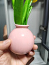 OYKTNins花瓶仿真花陶瓷擺件插花干花假花套裝桌面玄關(guān)客廳裝飾 郁金香花 1支 曬單實(shí)拍圖