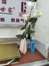 浣熊日記客廳擺設防真花餐桌花擺花茶幾假花仿真花花束裝飾花茶幾裝飾擺件 粉色星口瓶洋桔梗 曬單實(shí)拍圖