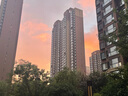 鮮京采 厄瓜多爾白蝦 凈重3斤/盒 特大號20-30規格   30-45只/盒 曬單實(shí)拍圖