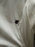 Olrain歐芮兒純棉長(cháng)袖T恤女裝秋季法式刺繡休閑圓領(lǐng)上衣 楓葉繡花  M  曬單實(shí)拍圖