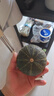 正宗貝貝南瓜  板栗南瓜倭瓜寶寶輔食健康雜糧生鮮蔬菜半價(jià) 4.5斤凈重（單果200g起） 曬單實(shí)拍圖