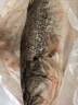 鮮活沖浪河鱸魚400-500g/條 曬單實拍圖